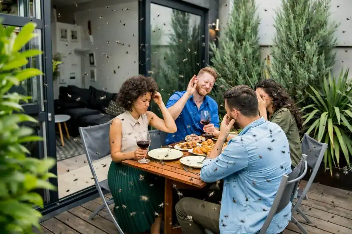 Nettoyage écologique terrasse extérieure avec Diproclean, spécialiste en entretien et désinfection.