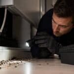 Infestation de rats : les signes qui annoncent un probl&egrave;me s&eacute;rieux.